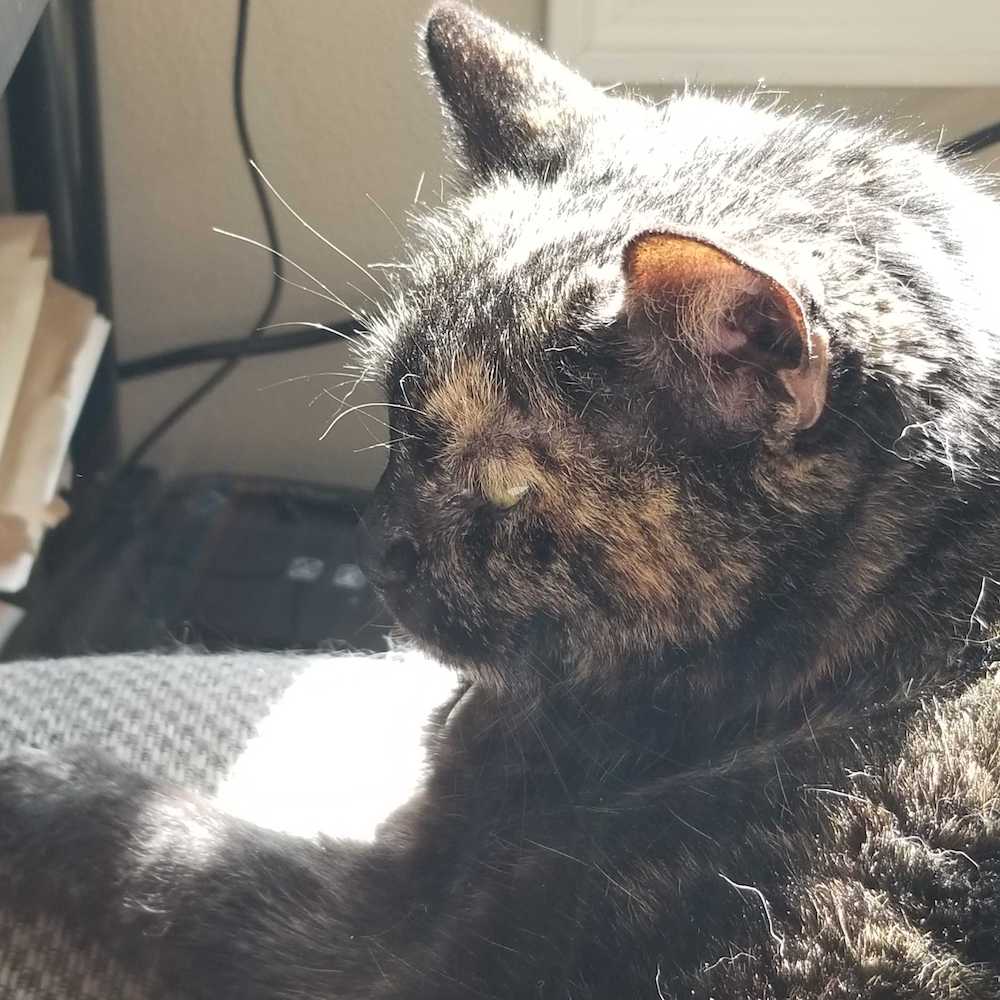 Esther