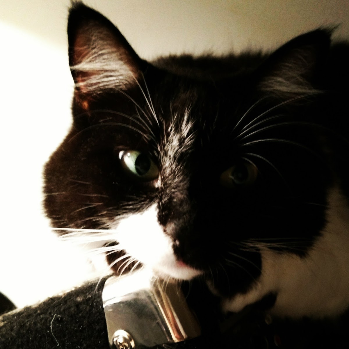 mel