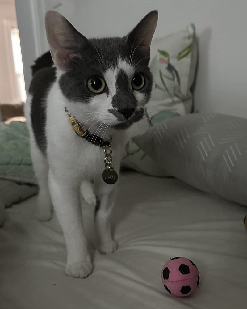 Ensign (Sylvia) Tilly