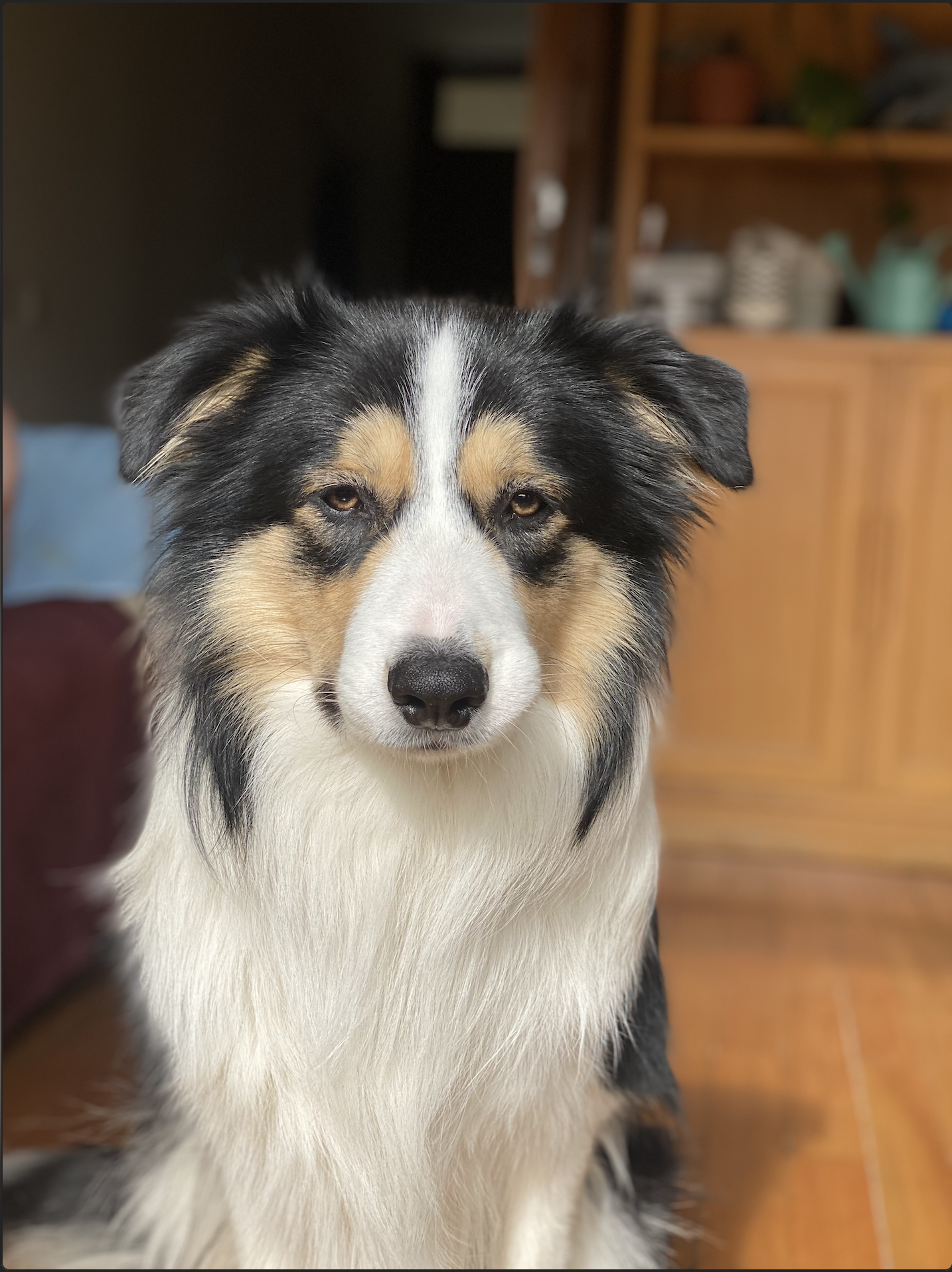 Vincenzo